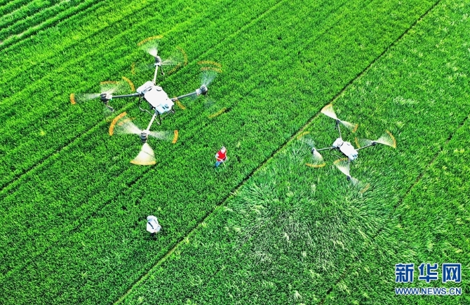 20220411103844736 20220411103844736