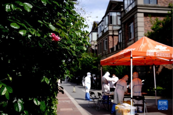 1128547547_16496460925261n