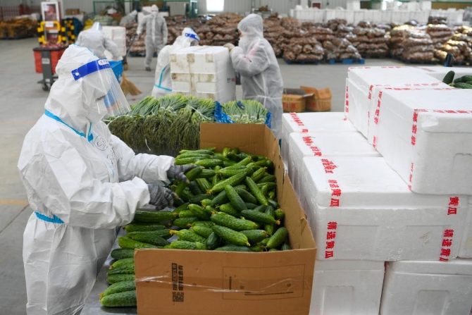 1128547745_16496011893271n 1128547745_16496011893271n