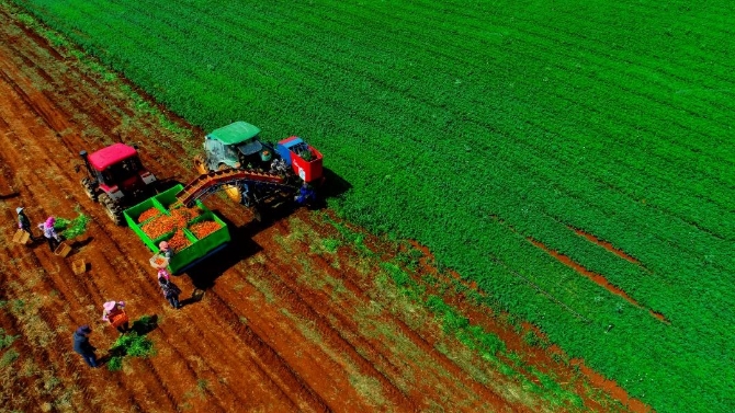 (请转编出中心李清老师)11月红河特刊6(13368045)-20220412085101.jpeg 图片