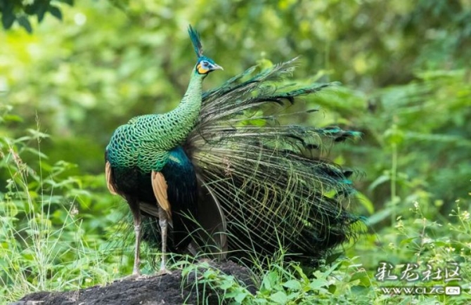 16501004639053607013206022662_1195