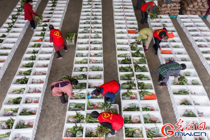 【组图】“守沪者联盟”丨江苏海安：150吨蔬菜驰援上海