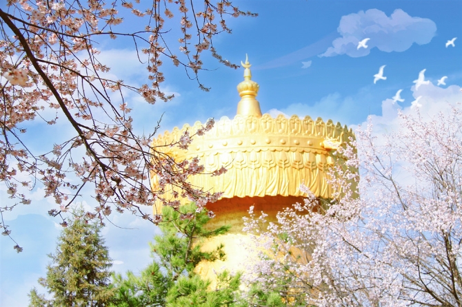 8b3fc741-cb12-4777-8f84-1b0606a7c79d