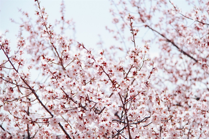 5e992b35-a8f5-409a-8eb9-5a4310bb375e