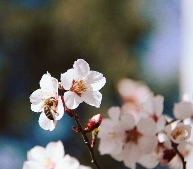 dd8492a2-238e-4328-984a-c4c985eece76