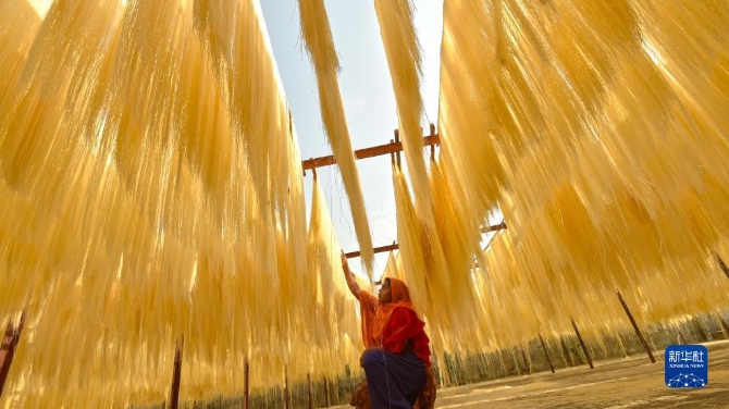 1128573821_16504142223631n