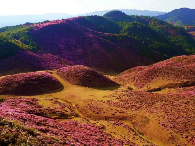 微信图片_202204221925521 微信图片_202204221925521