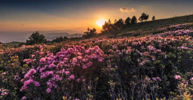 微信图片_202204221926002 微信图片_202204221926002