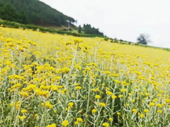 微信图片_202204221926205 微信图片_202204221926205