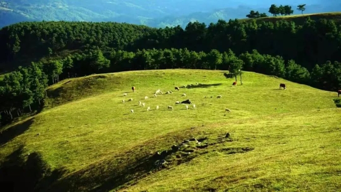 微信图片_202204221926499 微信图片_202204221926499