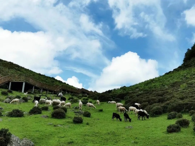 微信图片_2022042219270311 微信图片_2022042219270311