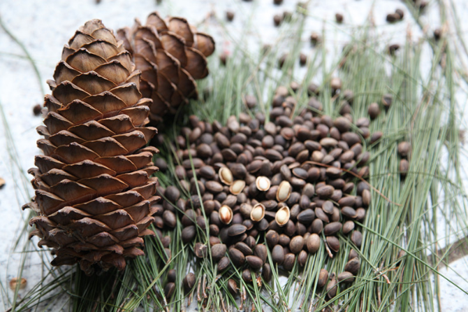 微信图片_2022042219272114 微信图片_2022042219272114