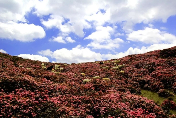 微信图片_2022042219280020 微信图片_2022042219280020