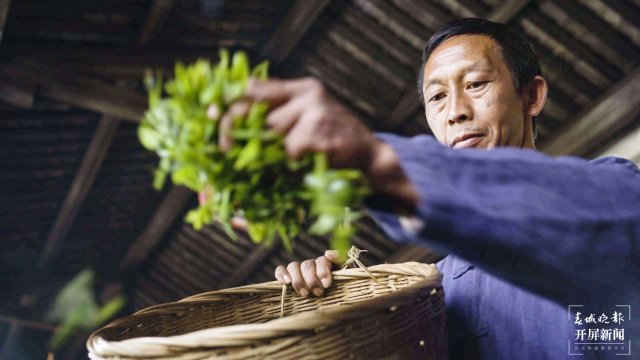 高黎贡山第七届茶文化节在云南腾冲举行