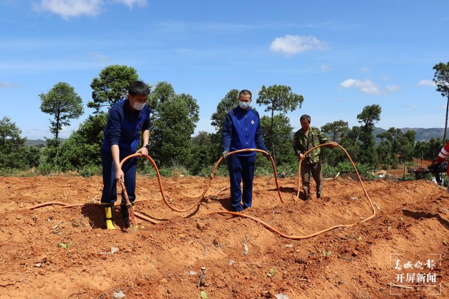 感谢曲靖“蓝娃子”送水来！今年的烟苗总算保住了