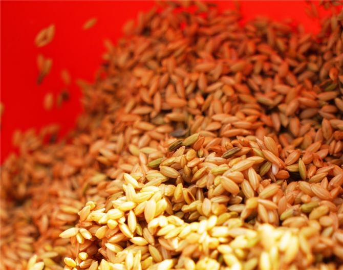 7af72600ae934f76ad481c9da56a4bd2 7af72600ae934f76ad481c9da56a4bd2