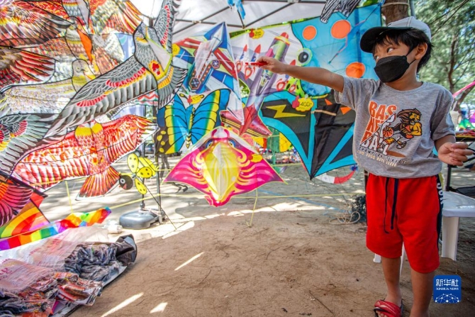 1128591086_16507851000111n 1128591086_16507851000111n