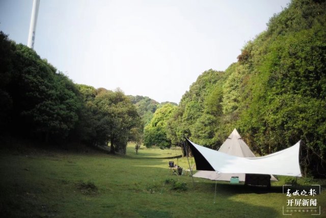 【五一旅游点推荐】踏青、“吸氧”！元江南溪老林有个绝佳露营地