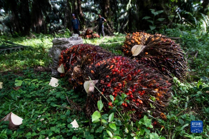 1128605603_16511887257511n