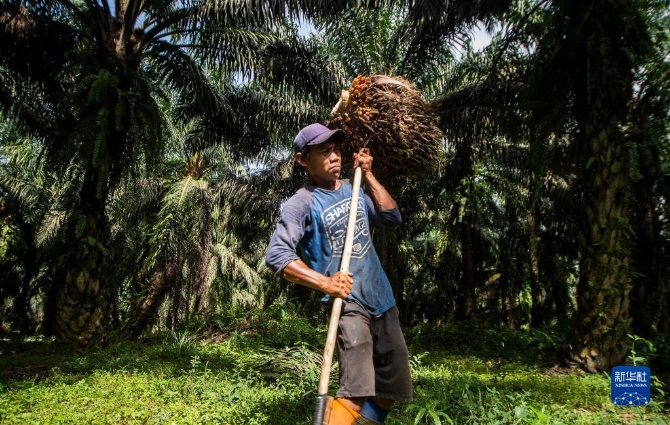 1128605603_16511887475681n