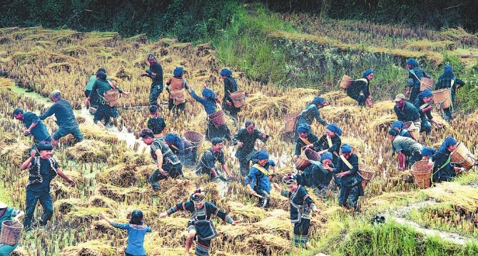 e9c7680c-de10-41544 e9c7680c-de10-41544