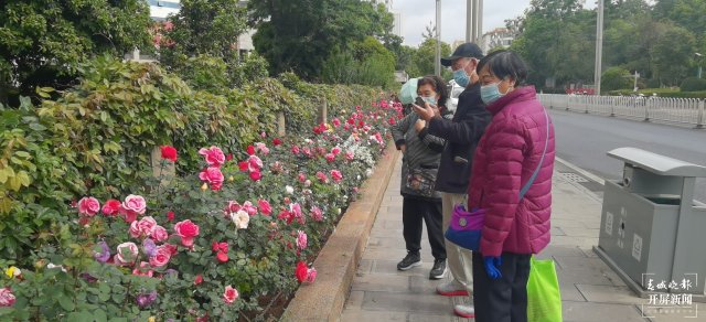 这个“五一”,西山区日均接待游客16.71万人次