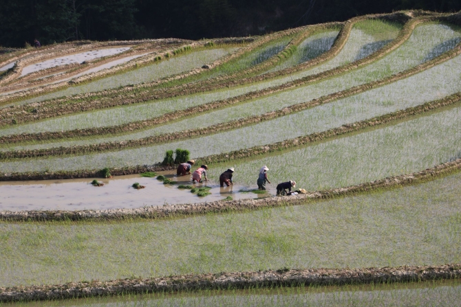 8071237cca97f98a939c6cd826fa5dfe (1)