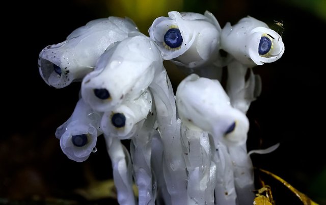 微信图片_20220507082355 微信图片_20220507082355