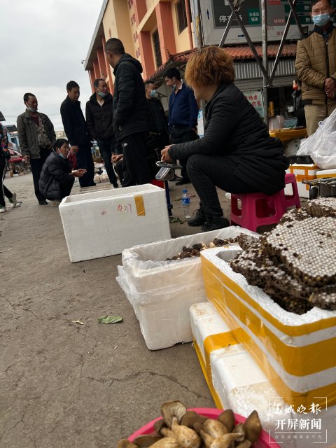 “五一”过后，野生菌渐多，云南木水花野生菌交易中心每天500公斤