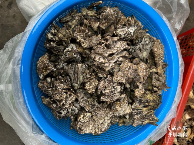 “五一”过后，野生菌渐多，云南木水花野生菌交易中心每天500公斤