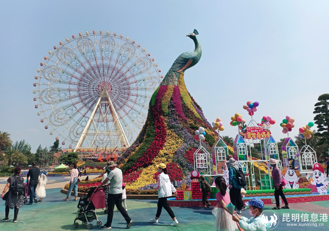 QQ截图20220507145831 QQ截图20220507145831