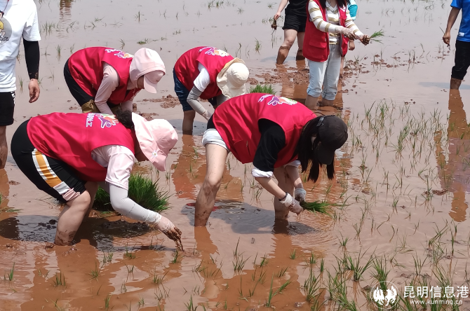 QQ截图20220507145853 QQ截图20220507145853