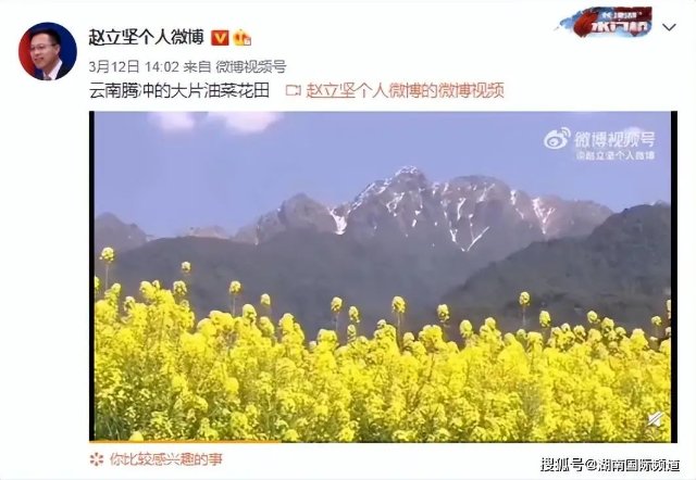 第四次！外交部发言人赵立坚又点赞云南啦！这次是因为……
