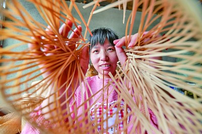 常为新、敢创新,青春绽放在乡野 常为新、敢创新,青春绽放在乡野