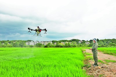 常为新、敢创新,青春绽放在乡野 常为新、敢创新,青春绽放在乡野