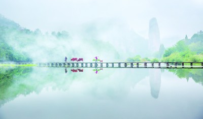 浙西南革命老区：红绿融合绘共富新景