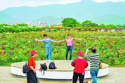 浙西南革命老区：红绿融合绘共富新景