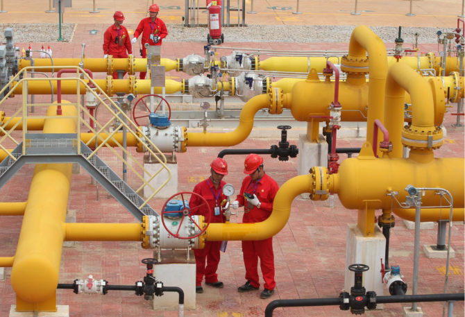 code_ynrb2c1ef2b9-311e-47fe-8160-2ba343b29390