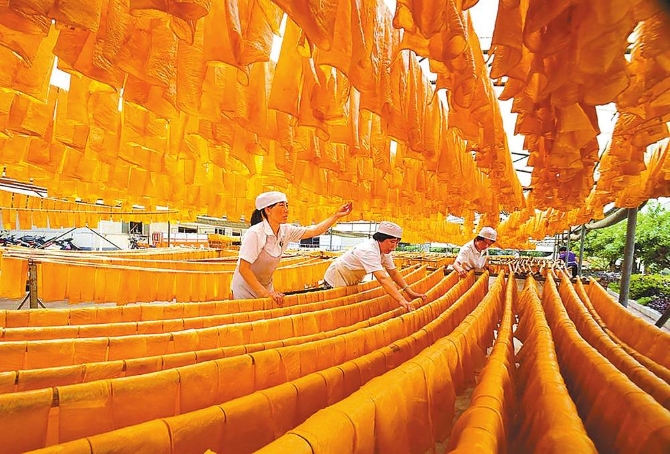 豆腐皮制作 本报通讯员 张进发 摄 豆腐皮制作 本报通讯员 张进发 摄