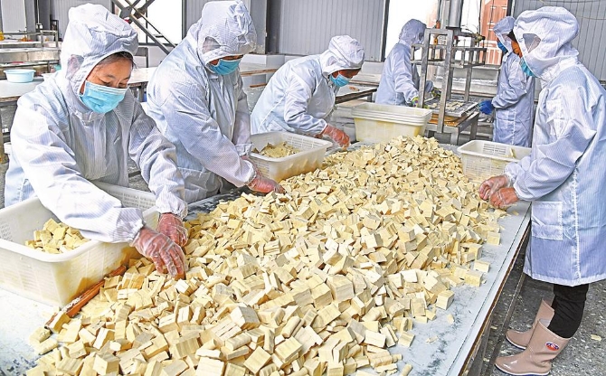 分拣豆腐块 本报通讯员 娄建伟 摄 分拣豆腐块 本报通讯员 娄建伟 摄