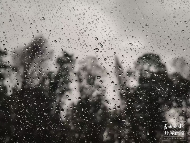下雨(马雯 摄)