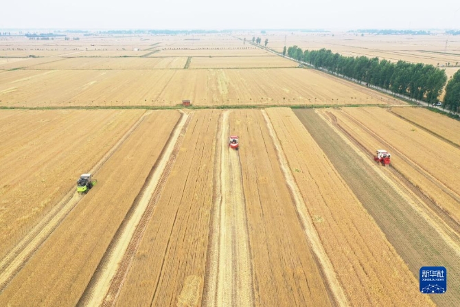 W020220523784668118436 W020220523784668118436