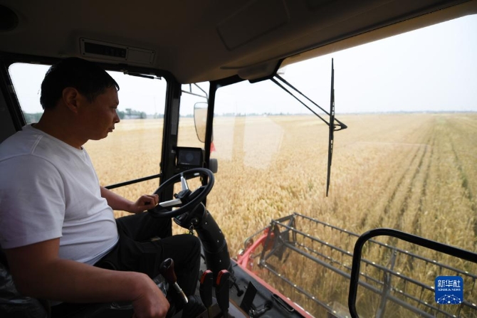 W020220523784668165495 W020220523784668165495