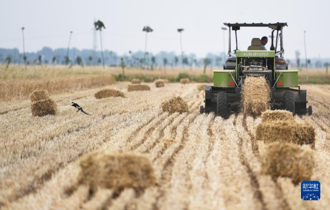 W020220523784668239314 W020220523784668239314