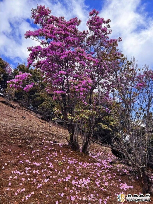 7f144b15-5a31-4804-948b-cc49de646334_batchwm 7f144b15-5a31-4804-948b-cc49de646334_batchwm