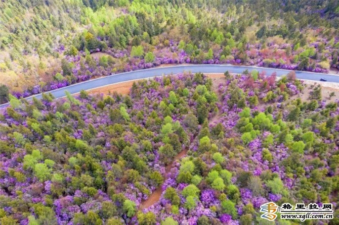 27fa722c-f88f-4b30-93c9-bd396bc7cef9_batchwm 27fa722c-f88f-4b30-93c9-bd396bc7cef9_batchwm