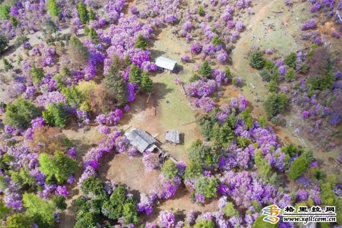 72afff9f-8c79-4209-b86e-949cf4b611c5_batchwm 72afff9f-8c79-4209-b86e-949cf4b611c5_batchwm