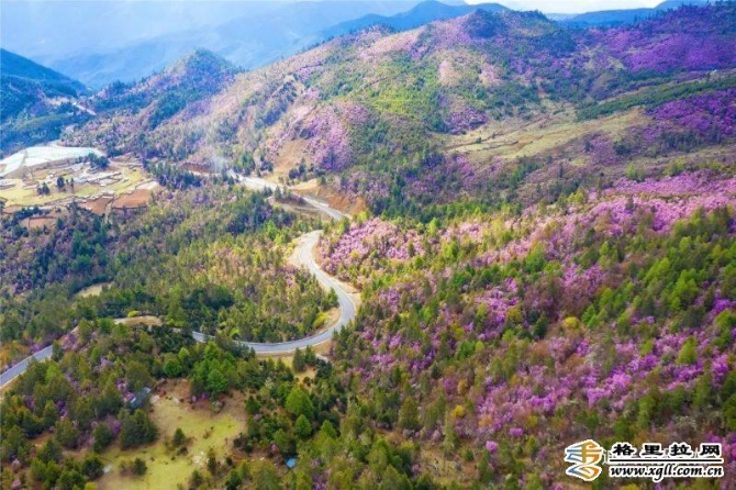 24603b86-75db-44c4-996f-6b16a568ee6c_batchwm 24603b86-75db-44c4-996f-6b16a568ee6c_batchwm