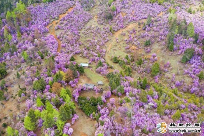 84260016-e277-4a87-ba7e-430f26d649bf_batchwm 84260016-e277-4a87-ba7e-430f26d649bf_batchwm