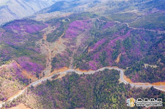 a84d6c17-cefc-48db-a661-615768e864ab_batchwm a84d6c17-cefc-48db-a661-615768e864ab_batchwm